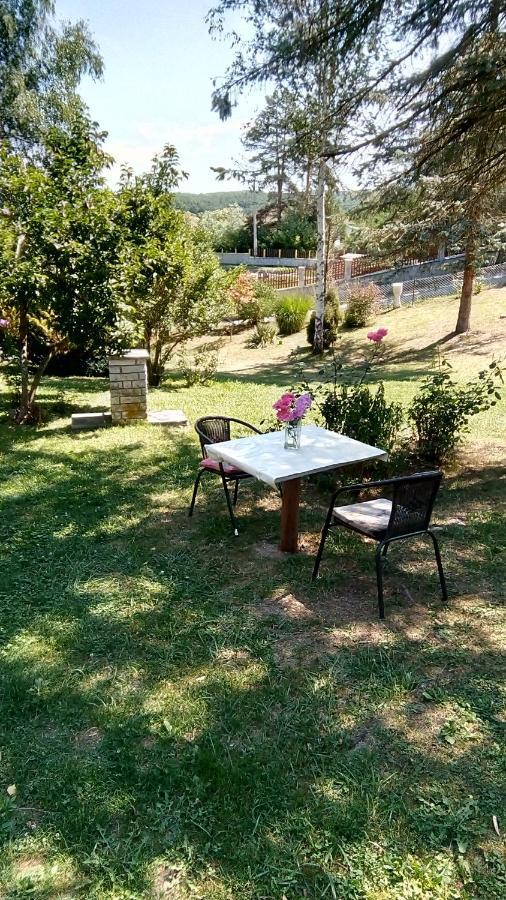 Takovo - Odmor U Selu Villa Gornji Milanovac Exterior photo